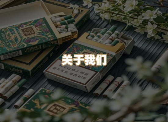 关于蓝帝网